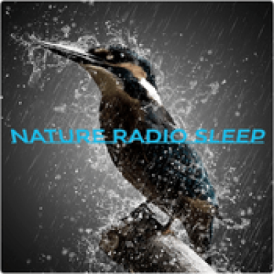 Logo di Nature Radio Sleep