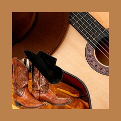 Logo di Country Hits Radio