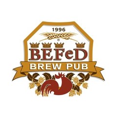 Logo di BEFeD Plus