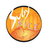 Logo di Suby Nice