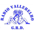 Logo di Radio Vallebelbo