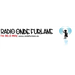 Logo di Radio Onde Furlane