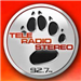 Logo di Tele Radio Stereo