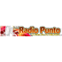 Logo di Radio Punto
