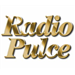 Logo di Radio Pulce