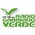 Logo di Radio Gabbiano Verde