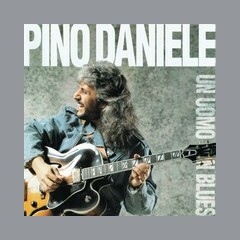 Logo di Web Radio Network Pino Daniele