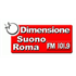 Logo di Dimensione Suono Roma