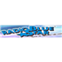Logo di Radio Blustar