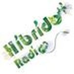 Logo di Hibrido