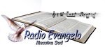 Logo di Radio Evangelo Messina Sud