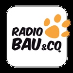 Logo di Radio 105 / Radio Bau & Co